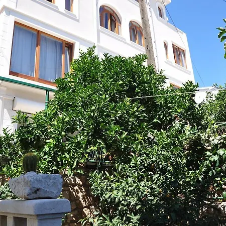 Guest house Segetski Dvori - Tradition Since 1964 Seget Donji