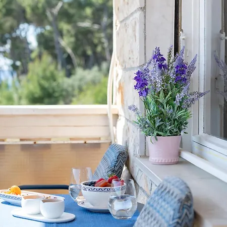 Villa Segetski Dvori - Beachfront Oasis & Tradition Since 1964 4*